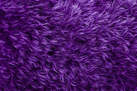 Purple Fur Images Search Images On Everypixel