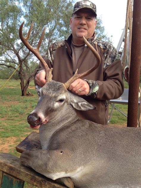 South Texas Whitetail Deer Hunt Quality Hunts 1 Hunt Provider In