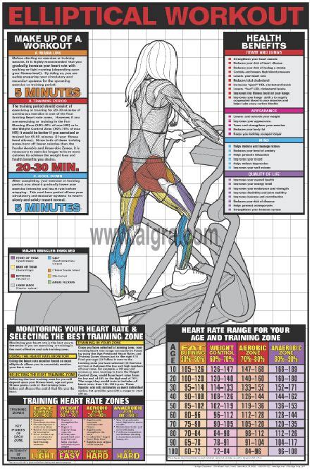 Algra S Elliptical Workout Poster Presents A Large Detailed View Of The Muscles Being Exercised
