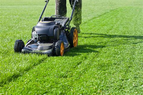 How Much Do Grass Cutting Services Cost In Checkatrade
