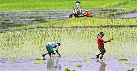 Transforming Agriculture Bangladesh Moving Towards High Value Crops