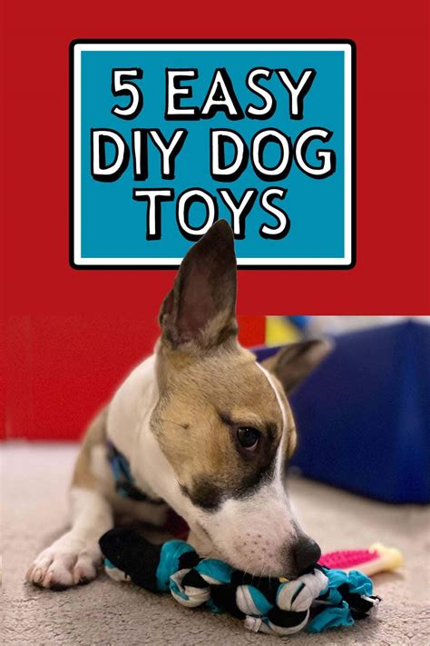 5 Easy To Make Diy Dog Toys No Sew Recycled Materials Dfw Craft Shows