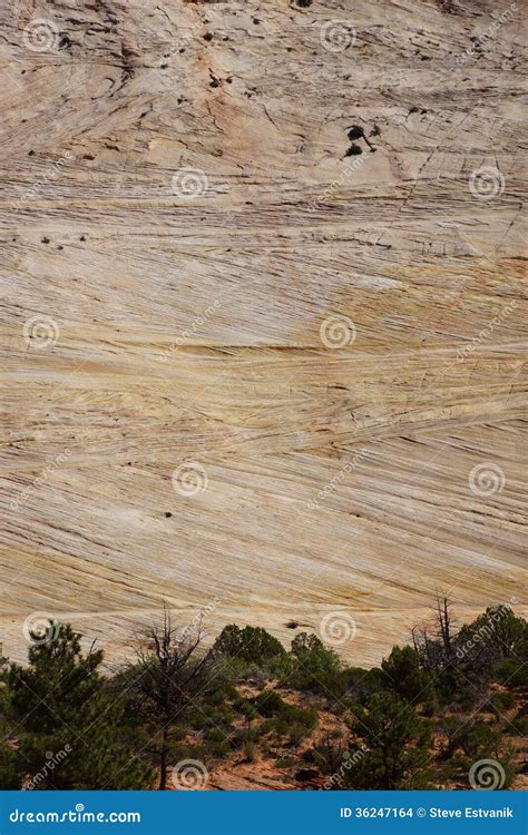 Detail Cross Current Layers Of Colored Sandstone Stock Photo Image