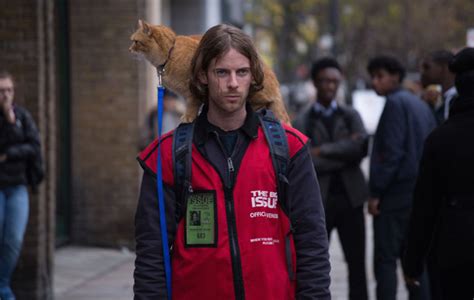A Street Cat Named Bob Film Review A Stray Ginger Tom Proves A Lifeline