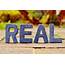 Reality Real Really  Free Photo On Pixabay