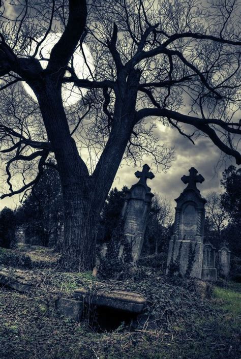 Pin By Federica Lorigiola On Gothic Novel Cemetery Photos Graveyard