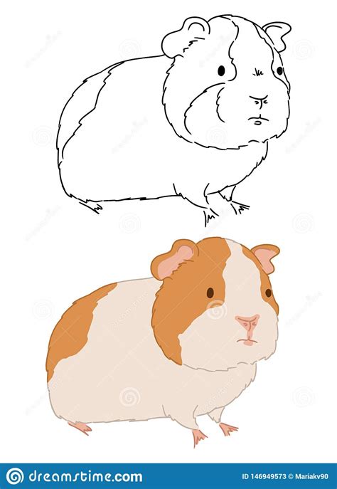 Guinea Pig Or Cavy Inky Hand Drawn Sketch Vector Illustration Guinea