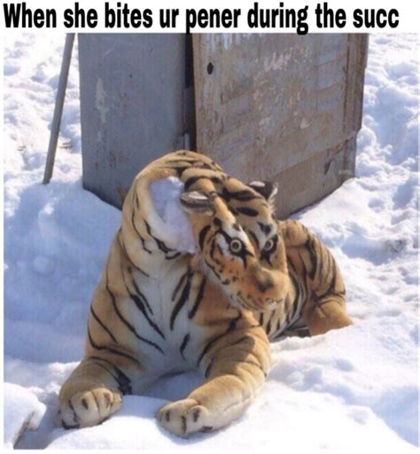It can be heard as omae wa mou shindeiru. Nani? - Meme by Paperfag :) Memedroid