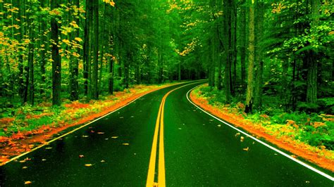 Forest Road In Autumn Image Id 249722 Image Abyss