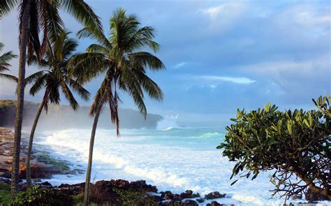 Big Island Hawaii Wallpapers Top Free Big Island Hawaii Backgrounds
