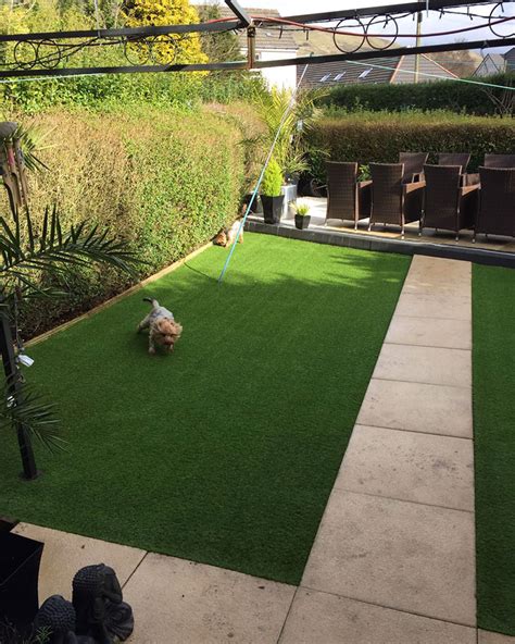 Therefore our pet system focuses on finding the right mix of artificial grass product selection, installation technique and maintenance schedule individualized. Pet Friendly Artificial Grass - Perth & Dundee - Perth ...