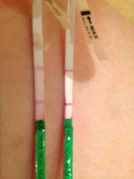 14 Pregnancy Test Strip Hcg Level Teststrips