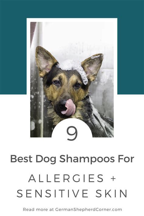This is why you need to invest your money on a quality cat meal from a recognized brand pros. What is the Best Shampoo for Dogs with Skin Problems ...