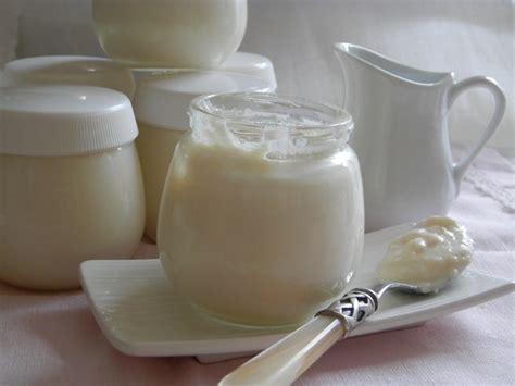 Devi acquistare solo un litro di bevanda vegetale più lo yogurt da utilizzare come puoi acquistare la yogurtiera sia online sia nei negozi che vendono arredo per la casa. Yogurt fatto in casa con la yogurtiera - viaggiandoincucina