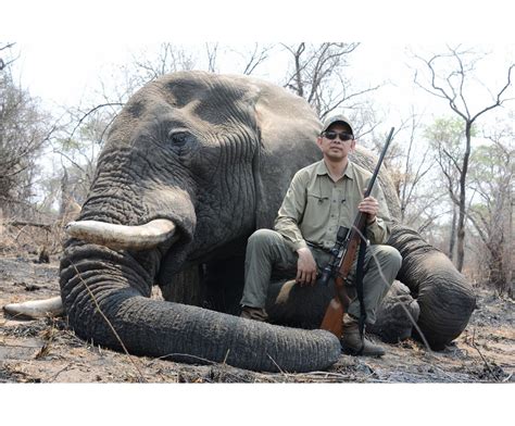 14 Day Trophy Elephant Hunt For One Hunter And One Non Hunter In Caprivi Namibia Includes