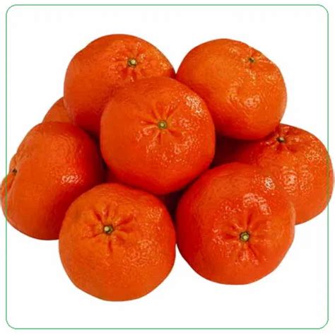 A Grade Imported Malta Orange Packaging Size 5 Kg At Rs 400kg In New