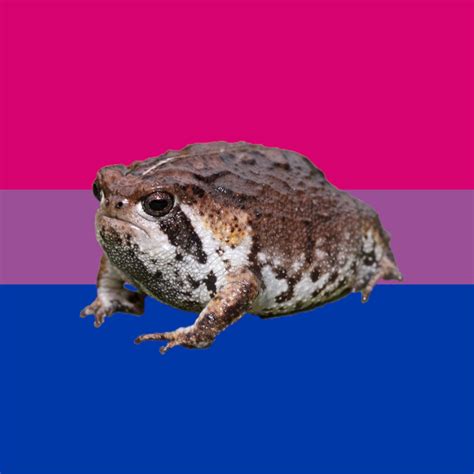 Feb 15, 2012 · there is a student study guide sheet that goes with this powerpoint lesson for teks biology. Pin by RavenclawRunningOnTea 🏳️‍🌈 on backgrounds and ...