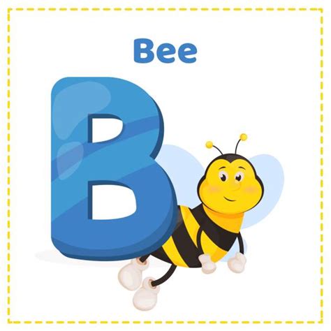 Alphabet Letter B Beevector Illustrations Royalty Free Vector