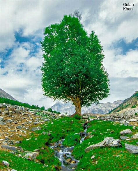 Fantastic Beauty Wonderful View Of Beautiful Swat Valley Khyber
