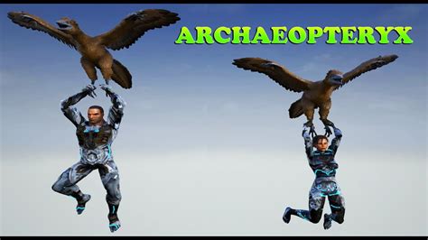 Ark Dev Kit Archaeopteryx The Parachute Dino Youtube