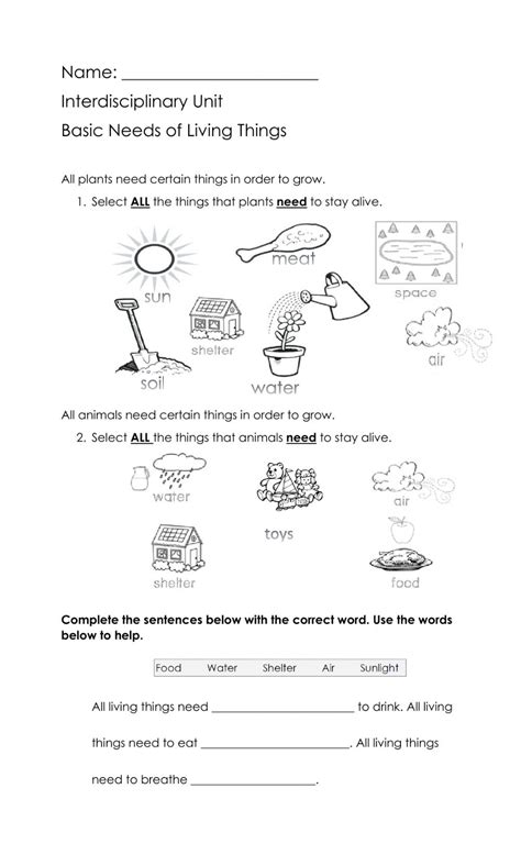 Basic Needs of Living Things interactive worksheet