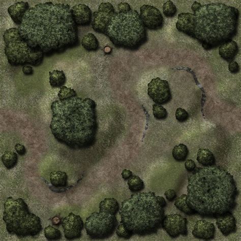 Forest Battle Map Dnd 5e