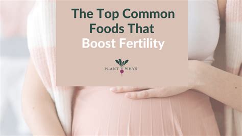 the top common foods that boost fertility