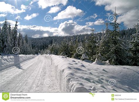 Winter Snow Path Royalty Free Stock Photos Image 6982048