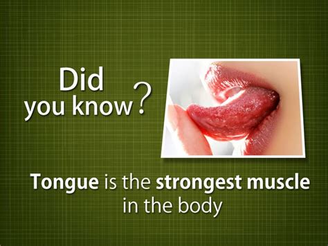 Did You Know The Tongue Is The Strongest Muscle In The Body Cosmetic Dentistry Muscle Body