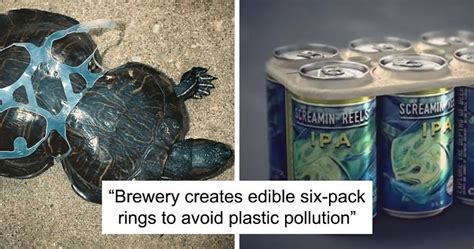 13 Feel Good Stories About People Saving Our Planet