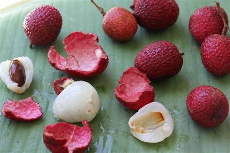 Summer Fruit Salad With Hibiscus Syrup Suwannee Rose