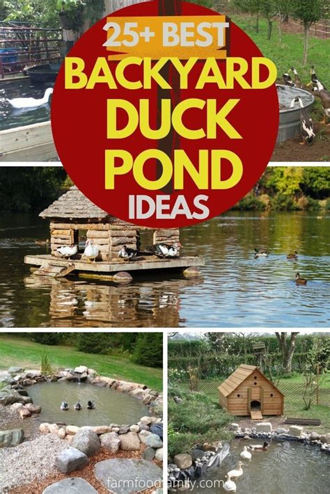 Backyard Duck Pond Ideas That Are Easy To Build And Great For The Yard