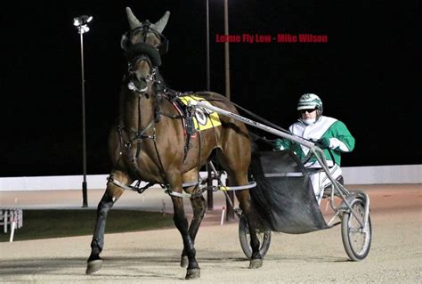 Pin By Vanessa On Harness Racing In 2021 Harness Racing Racing Horses