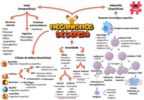 Nerdcursos Mecanismo De Defesa Imunologia Mapas Mentais Livros De My