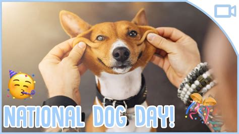 National Dog Day Youtube