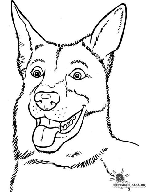 Coloriage Chien Dog Coloring Page Animal Coloring Pages Puppy