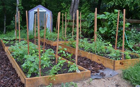 Maybe you would like to learn more about one of these? Making Beds. (Vegetable Garden Beds, That Is.)