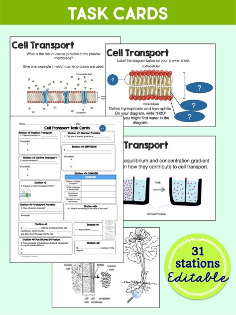 Cell Transport Task Cards Answer Key Printable Form Templates And Letter
