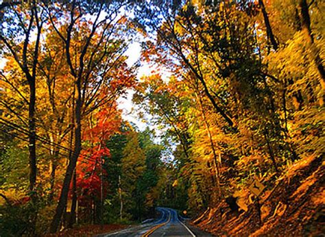 When Should I Plan My Fall Foliage Trip In Pennsylvania This Year