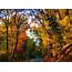 Best Road Trips For Fall Foliage In Pennsylvania  Pennlivecom