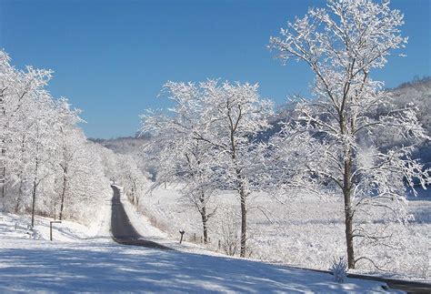 West Virginia Winter Wonderland Photograph By Susan Lane