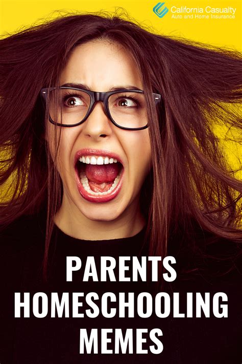 Homeschool Mom Memes 2020 Eperka