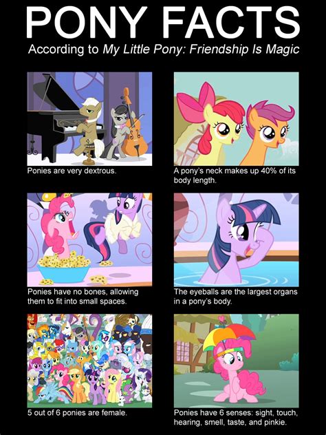 Mlp Memes Funny Google Search Mlp Memes My Babe Pon Vrogue Co