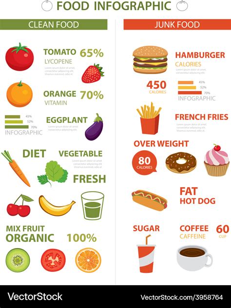 Healthy And Junk Food Infographic Royalty Free Vector Image