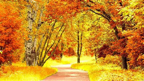 Red Yellow Autumn Scenery High Definition Wallpapers Hd Wallpapers