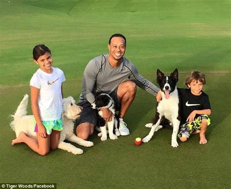 Even tiger himself says that all he does in his free time is play soccer with his kids. Tiger Woods triumphant post-surgery blog 5 days before DUI ...