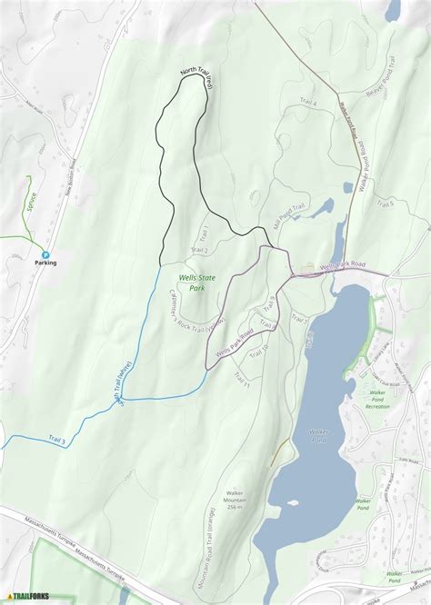 Wells State Park Sturbridge Mountain Biking Trails Trailforks