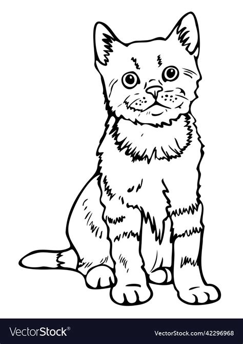 Black And White Kitten Hand Drawn Cat Royalty Free Vector