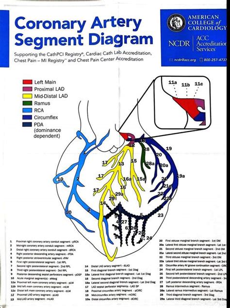 The coronary arteries provide oxygenated blood to the heart. EMNote.org - EMNote