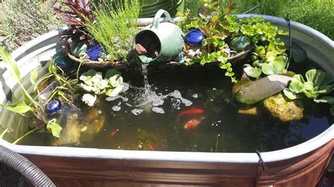 My Stock Tank Pond Ponds Backyard Diy Pond Backyard Water Feature